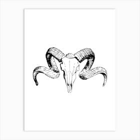 Animal skull Art Print