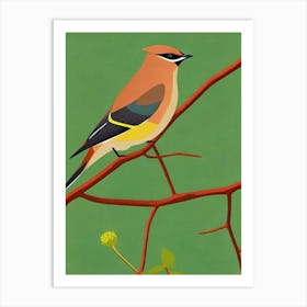 Cedar Waxwing Midcentury Illustration Bird Art Print