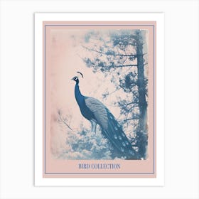 Peacock In The Snowy Tree Cyanotype Poster Art Print