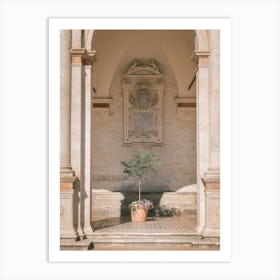Olive Tree At The Cathedral Art Print