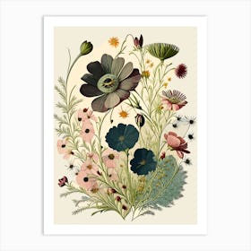 Cosmos Wildflower Vintage Botanical 2 Art Print