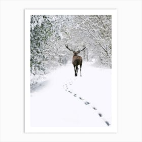 Deer In The Snow 2 Art Print