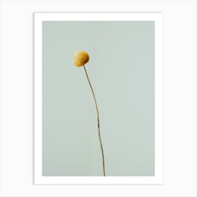 Single Yellow Flower Art Print