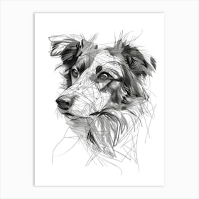 Nova Scotia Duck Tolling Retriever Line Sketch Art Print