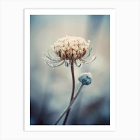 Frozen Flower No 3 Art Print