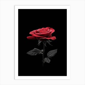 Black Rose 22 Art Print