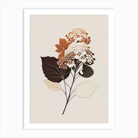 Hydrangea Root Spices And Herbs Retro Minimal 1 Art Print