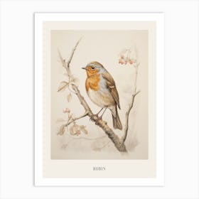 Vintage Bird Drawing Robin Poster Art Print