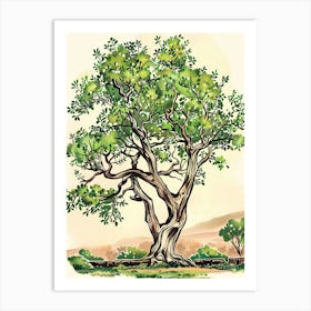 Acacia Tree Storybook Illustration 1 Art Print