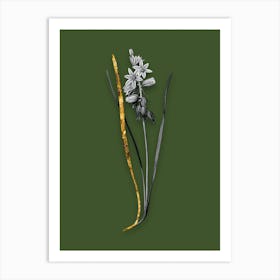Vintage Drooping StarofBethlehem Black and White Gold Leaf Floral Art on Olive Green n.0600 Art Print