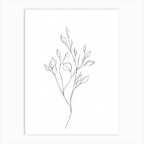 Line Drawing Of A Branch 1 Art Print