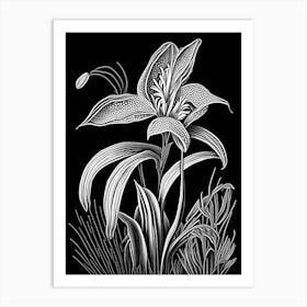 Trout Lily Wildflower Linocut 1 Art Print