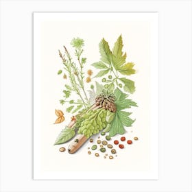 Hops Spices And Herbs Pencil Illustration 1 Art Print