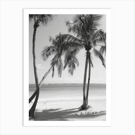 Palm Trees On The Beach 7 Art Print