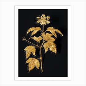 Vintage Guelder Rose Botanical in Gold on Black n.0544 Art Print