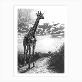 Pencil Portrait Of Giraffe In The Sun Art Print