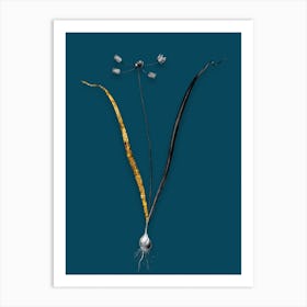 Vintage Allium Scorzonera Folium Black and White Gold Leaf Floral Art on Teal Blue n.0231 Art Print