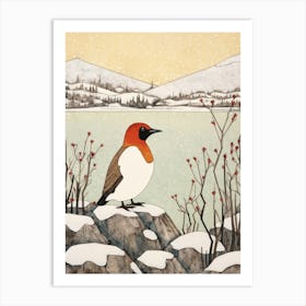 Bird Illustration Canvasback 3 Art Print