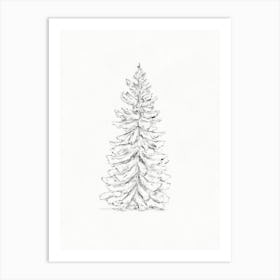 Fir Tree Pencil Sketch Art Print