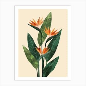 Bird Of Paradise Plant Minimalist Illustration 5 Art Print