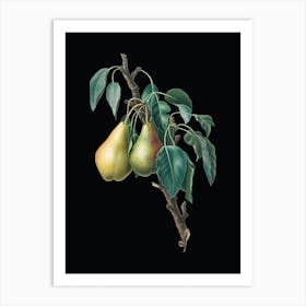 Vintage Lemon Pear Botanical Illustration on Solid Black n.0015 Art Print