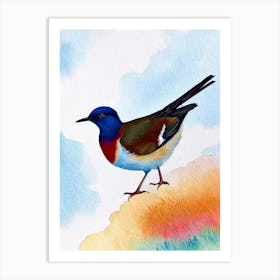 Dipper 3 Watercolour Bird Art Print