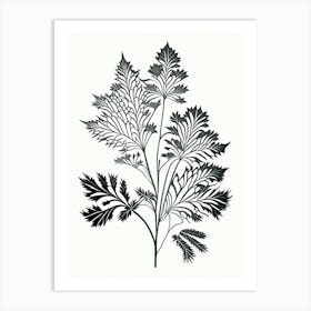 Lovage Herb William Morris Inspired Line Drawing 1 Art Print