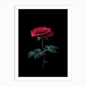 Red Rose On Black Background 37 Art Print