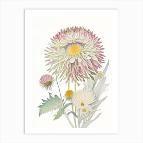 Chrysanthemum Floral Quentin Blake Inspired Illustration 3 Flower Art Print