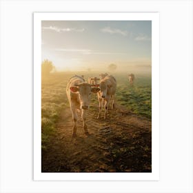 Cows Sunrise Art Print