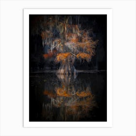 Cypress Reflection Art Print