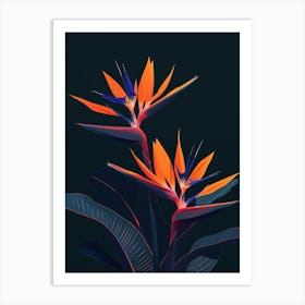 Bird Of Paradise 14 Art Print