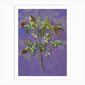 Vintage Honeyberry Flower Botanical Illustration on Veri Peri n.0048 Art Print