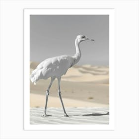 White Crane In The Desert Art Print