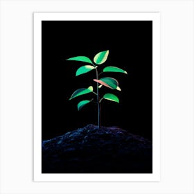 Tree Growing On A Black Background Art Print