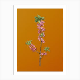 Vintage February Daphne Flowers Botanical on Sunset Orange Art Print