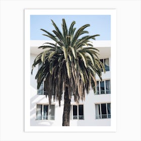 Moroccan Palm Tree Art Print