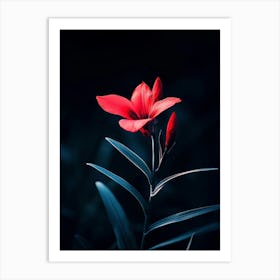 Dark Red Flower Art Print