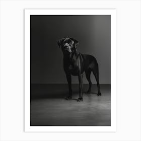 Black And White Dog Portrait. Generated AI. Art Print Art Print