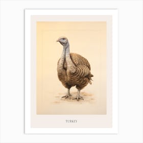 Vintage Bird Drawing Turkey 1 Poster Art Print