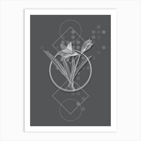 Vintage Hippeastrum Botanical with Line Motif and Dot Pattern in Ghost Gray Art Print
