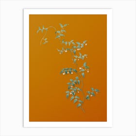 Vintage Bridal Creeper Botanical on Sunset Orange n.0916 Art Print
