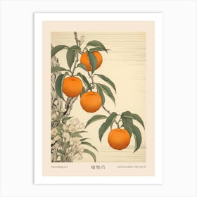 Tachibana Mandarin Orange 2 Vintage Japanese Botanical Poster Art Print