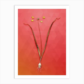 Vintage Allium Scorzonera Folium Botanical Art on Fiery Red Art Print