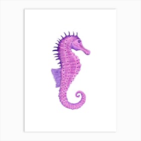 Seahorse Art Print