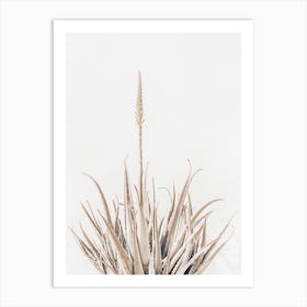 Taupe Succulent Art Print