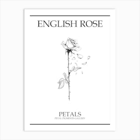 English Rose Petals Line Drawing 1 Poster Art Print