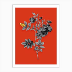 Vintage Turnip Roses Black and White Gold Leaf Floral Art on Tomato Red n.0342 Art Print