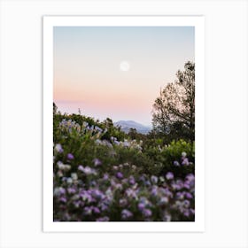 Full Moon Mountain Sunset With Purple Flowers Art Print