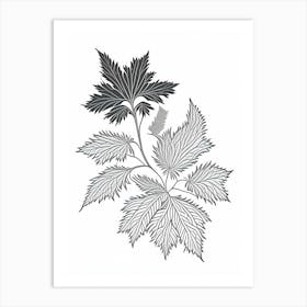 Nettle Herb William Morris Inspired Line Drawing 3 Art Print